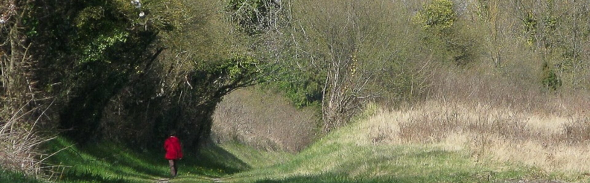 Les mairies déléguées commune de bellevigne