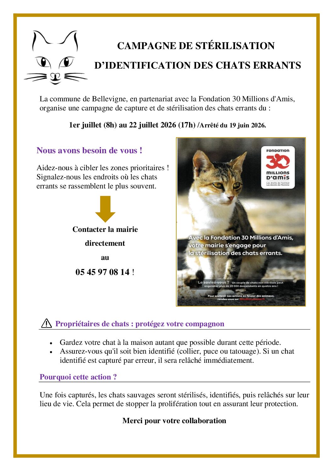 Affichage panneau pocket, site internet, mairie
